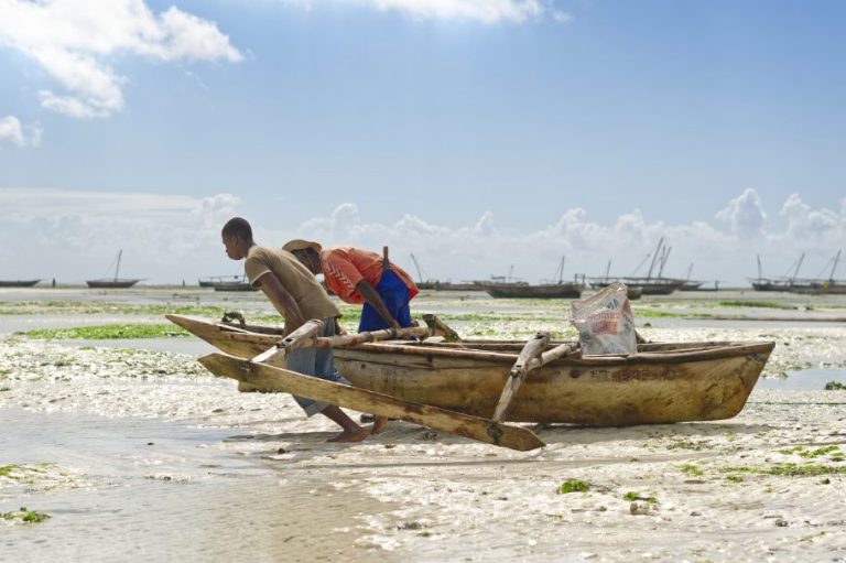 Wo ein Wille stark ist